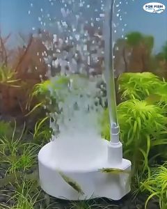 เนื้อหัวทรายละเอียด หัวทรายจานนาโน กระจายฟองอากาศได้ดี | มูลค่าปริมาณออกซิเจนเพิ่มเติม | หัวทรายตู้ปลา