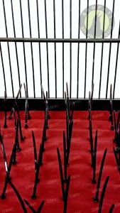 SEMPATI Karpet Ranjau Sangkar Kandang Kotak Alas Lantai Dasar Sangkar Burung Kacer Kenari Cucak Anti Turun Ke Bawah Karpet Duri Jebakan Sangkar Burung Lomba