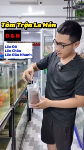THỨC ĂN VIÊN TÔM TRỘN Đ&N LÊN MÀU ĐẦU CHÂU CHO CÁ LA HÁN