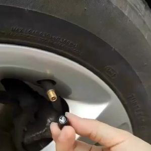 For Deepal L07 S07 G318 S05 EV Alloy Material Car Wheel Tire Air Valve Caps Stem Cover With Brand Accessories 4 Pieces