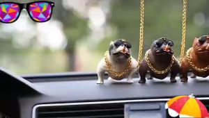 Mô Hình Chú Chó Bull Mỹ Trang Trí Cho Xe Hơi Để Bàn trang trí phòng nhà cửa bàn làm việc bàn học Nhỏ Gọn Sang Trọng Đẹp Mắt