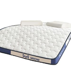 หน่วยความจำโฟมที่นอนนุ่มเบาะหอพัก นักเรียน เดี่ยวทาทามิฟองน้ำเบาะความแน่นปานกลางป้องกันแบคทีเรีย