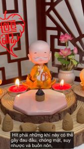 Nụ Trầm Hương Huệ An Thiên Nhiên Cao Cấp - Hương Thơm Đặc Biệt và Tinh Tế 20 Viên/Hộp