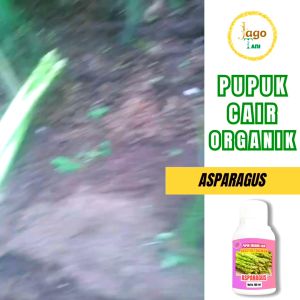 Pupuk Organik Cair Asparagus 100 Ml Hormon Penumbuh Batang Pengemuk Tanaman By Jagotani Yogyakarta