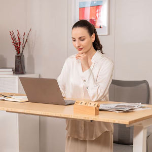 FlexiSpot E7 Premium Standing Desk Height Adjustable 2-Motor 3-Stage with Anti-Collision Safety Function Frame ONLY