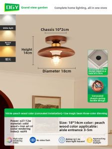 DGY | Walnut Corridor Entryway Ceiling Light Eye-care