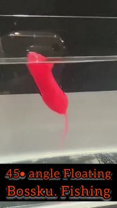 5.5cm 10.3g Soft Plastic Tikus Soft Frog lure  Lure top water lure/ 雷强 / Lure Fishing Umpan katak