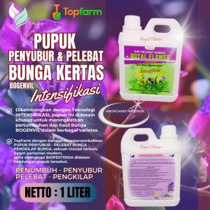 Pupuk Pelebat Bunga Kertas: Cara Membuat Bunga Anda Lebat