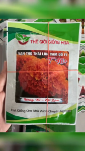 Hạt Giống Hoa Vạn Thọ Thái Lùn F1 Cam Đỏ T46+ THẾ GIỚI GIỐNG HOA (Gói 50 hạt & 1gr) - Date 2028