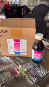 Antisep 1 Dus isi 12 Botol x 120ml Disinfektan Medion Antiseptik Pembasmi Kuman Kandang