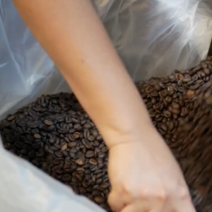 Coffee Sage Premium - Bloom Medium Roast - 250G