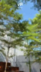 Kican Sling Bag Synthetic Leather Premium Kaluka Korean Style 19x14x9cm