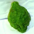 Jeruk Purut Jantan 1 Kg. 