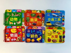 DangDang Tear-Resistant Early Education Flip Cards Set of 6 Bilingual English Chinese