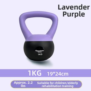 Theratools | Rehabilitation Suitable Safe Home Training Soft Kettlebell 1KG