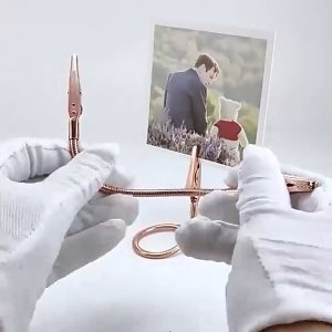 10ชิ้น คลิปหนีบกระดาษหัวคู่ คลิปหนีบกระดาษปากจระเข้ / คลิปหนีบโลหะแบบยืดหยุ่นสำหรับหนีบบันทึกรูปภาพ DIY / อุปกรณ์หนีบกระดาษในครัวสำนักงาน