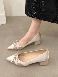 Giày Mary Jane Đế Bằng Thắt Nút Bướm Bằng Vải Lụa Mũi Nhọn Cho Nữ Giày Cao Gót Đế Bằng Thời Trang Mùa Hè 2025