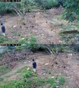 Camera Yoosee 2 MẮT KÉP  ĐỘ PHÂN GIẢI 8MP GÓC SIÊU RỘNG TÍCH HỢP ĐÈN BÁO ĐỘNG XANH - ĐỎ  Bảo hành 1 năm