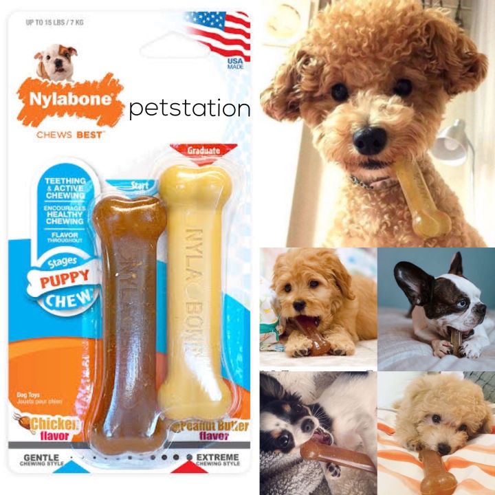 Nylabone Gentle/Power Chew ของเล่นขัดฟัน Lazada.co.th
