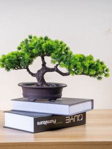 Artificial Potted Pine Tree Decoration Indoor Plastic Fake Flower Small Plant Simplicity Style FengHuaYuan Brand Ornament