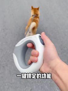 [OKLIFE. SG]Pet Dog Cat Leash Rope/ Automatic Retractable Leash /LED Light Dog Leash/Leash/pet supplies