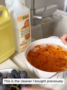 SukGarden Dishwashing Liquid Food Safe 100% Natural Essence Vege Fruits Tableware Cleaner