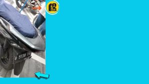 FAZILLA Sarung jok cover motor murah anti air cakar kucing variasi beat - mio - vario 125 - vario 160 - scoopy - vixion - satria fu 150 - nmax 2022 - pcx COD
