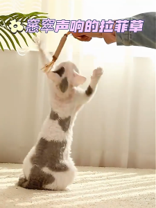 ซื้อ 1 แถม 1 ไม้มาทาทาบิ ขัดฟันแมว มาทาบิ สำหรับแมว แคทนิปญี่ปุ่น ไม้แมวเมา ไม้ขัดฟัน ก้านมาทาทาบิ ไม้แ  ﻿