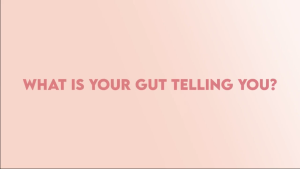 [In-stock inventory]Shaklee Prebiotic + Probiotic Raspberry Fruit Drink Premix 30 Sticks 嘉康利 exp 2027