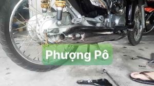 ⚡️FREESHIP⚡️ Pô đam logo Honda cánh chim móc giòn cho Wave nhỏ/ Dream/ Cup/ 67 [ HÀNG LOẠI 1 ]