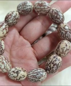 Buto ng Sinukuan Bracelet Pangontra sa InggitKulam at Barang (Blessed)