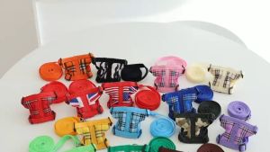 สายจูง สำหรับสัตว์เลี้ยง ขนาดเล็ก/ขนาดจิ๋ว สายจูงชูการ์ สายจูงกระต่าย สายจูงหนูแฮมสเตอร์ รอบอก 10-15 ซม. สายจูงยาว 1.50 ม. (1ชิ้น/แพ็ค)