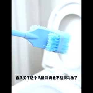 Double Sided Head Toilet Cleaning Brush 无死角厕所刷