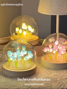 DIY Teachers Day Gift LED Tulip Night Light