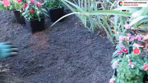 Găng tay làm vườn / Bao tay làm vườn bền tiện lợi