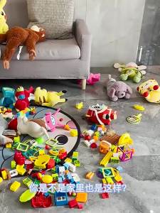 MOLORE | Movable Classification Organizing Toy Shelf
