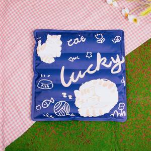Summer Cooling Water-filled Cooling Cushion