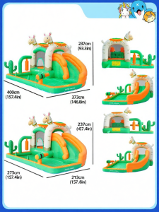 Doctor Dolphin | Inflatable Playhouse with Pool and Slide