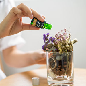 Lọ Hoa Gỗ Khô Khuếch Tán Tinh Dầu Thơm Phòng HENY GARDEN Thay Thế Máy Xông Làm Sạch Không Khí