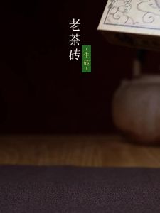 TAETEA | Aged Raw Pu-erh Tea Brick 250g