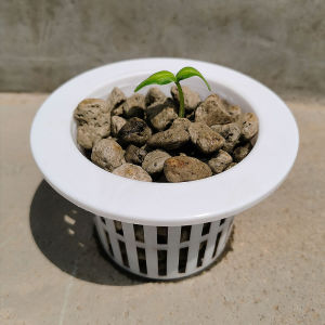 Hanging Garden Soilless Cultivation Grow in Water Vegetable Box Volcanic Rock