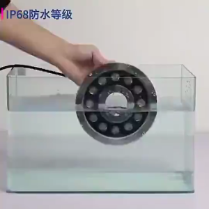 LED  Underwater Light Fountain Lights  AC 24V  Waterproof IP68 Swimming Pool Landscape Lights