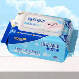 C&S | Antibacterial Flushable Wet Toilet Paper 80pcs
