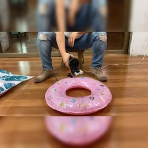 Outdoor เครื่องสูบลม ที่สูบลม ปั๊มเป่าลมยาง ของเล่นเป่าลม ปั๊มลมไฟฟ้า เป่าลมที่เป่าลมไฟฟ้า ปั้มลมแบบพกพา ปั๊มลมบ้าน ปั๊มลมรถยนต์ Air Pump