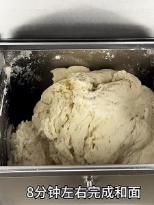 Commercial & Household Dough Mixer Machine - 2kg 5kg 10kg Capacity Powerful S-Type Auger