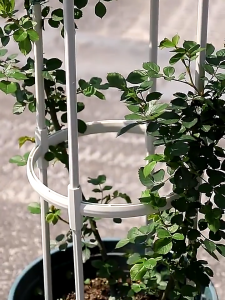 4 Follr Tower Obelisk Garden Trellis Plant Support Plants Support Frame Trellis Climbing Vines Flowers