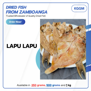 Lapu Lapu - Dried Fish Ships from Zamboanga City