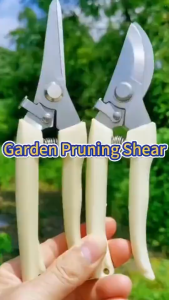 SK5 Pruning Shears Branch Cutter Garden Plant Trimmer Tools Scissor Gunting Pokok Bunga Stainless