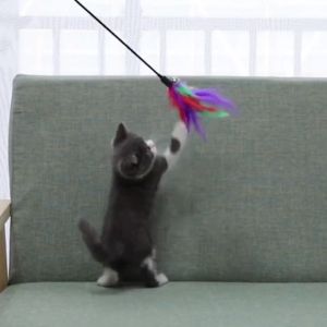 Zaman Now - Mainan Stik Kucing Tongkat Bulu Lonceng / Mainan Stik Kucing Tongkat Bulu Lonceng / Mainan Anabul Cat Toys Lonceng