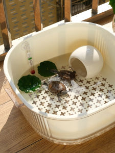 Aquarium Chăm Sóc Tùy Mèo Đa Tầng Thoải Mái Cho Phòng Làm Việc Phòng Khách Nhà Trọ Đa Năng Tạo Cảnh Đồ Trang Trí Màn Hình